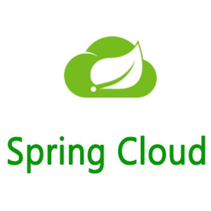 2021年最新SpringCloud微服务实战教程