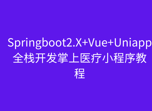 Springboot2.X+Vue+Uniapp全栈开发掌上医疗小程序教程